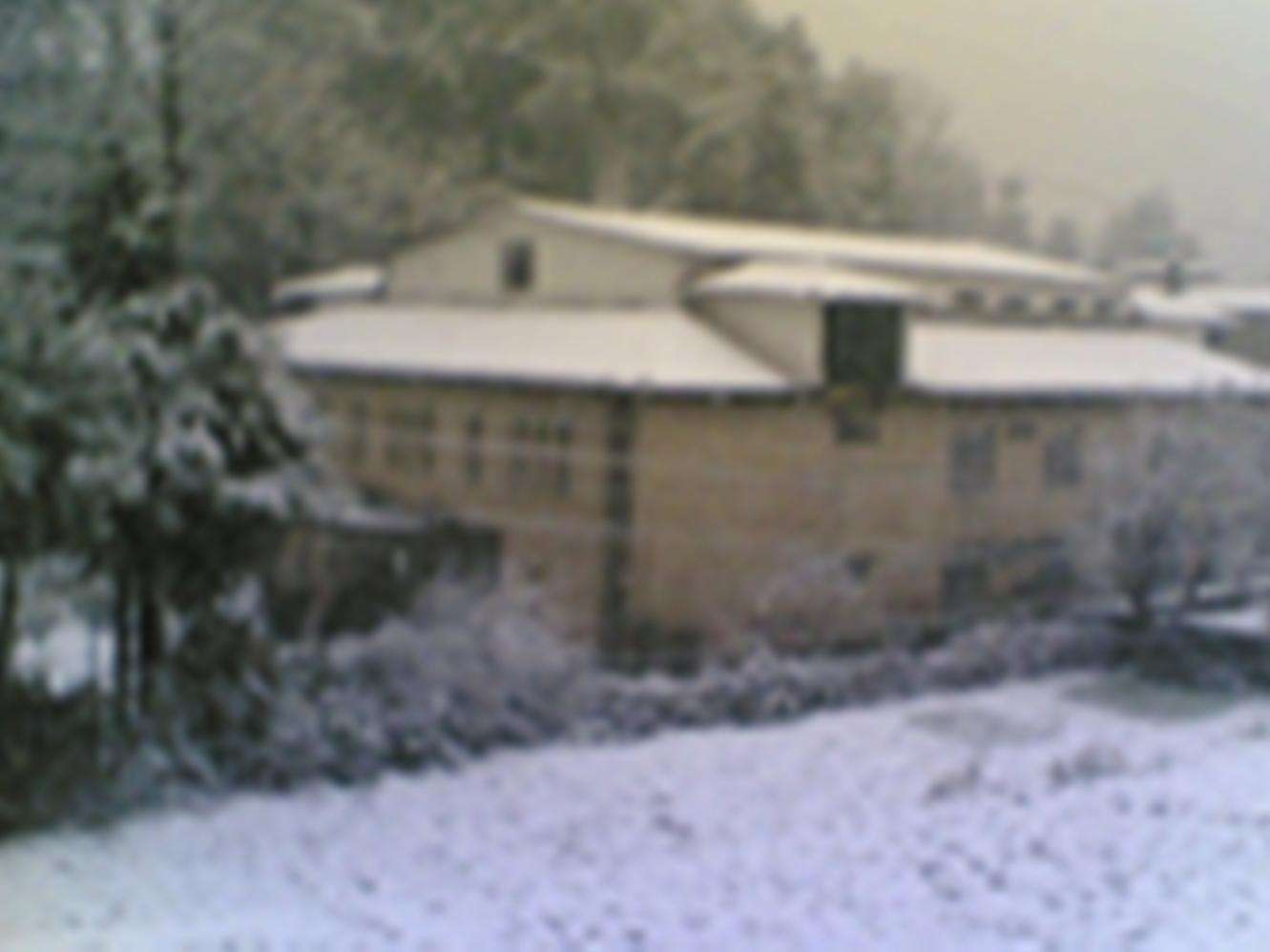 Langdale Manor Hotel Нейнитал Екстериор снимка